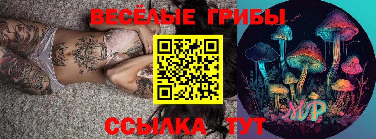 Галлюциногенные грибы Psilocybe Алексеевка