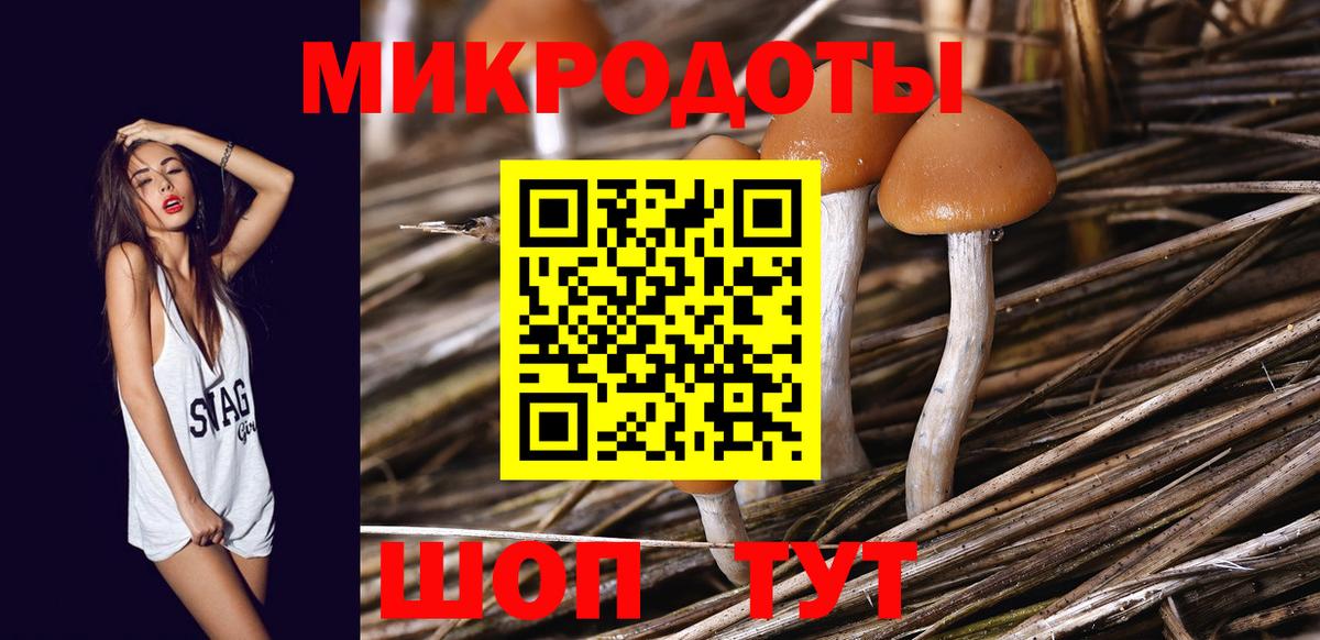 Псилоцибиновые грибы MAGIC MUSHROOMS  Вход с VPN  Алексеевка 